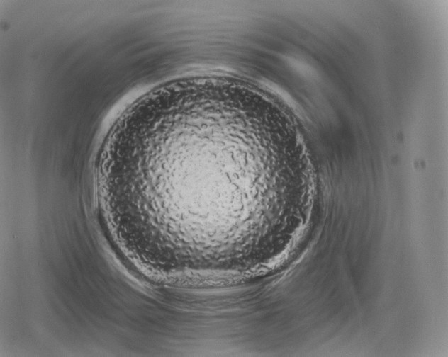X0000080101371200612081151