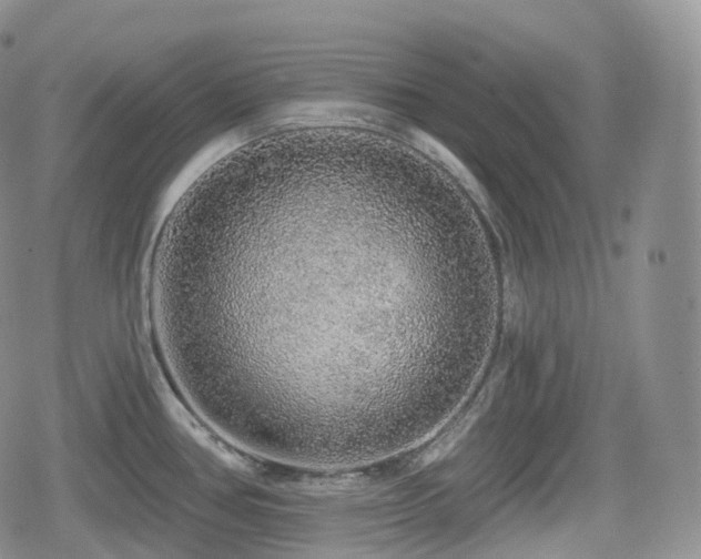 X0000080101386200612081151