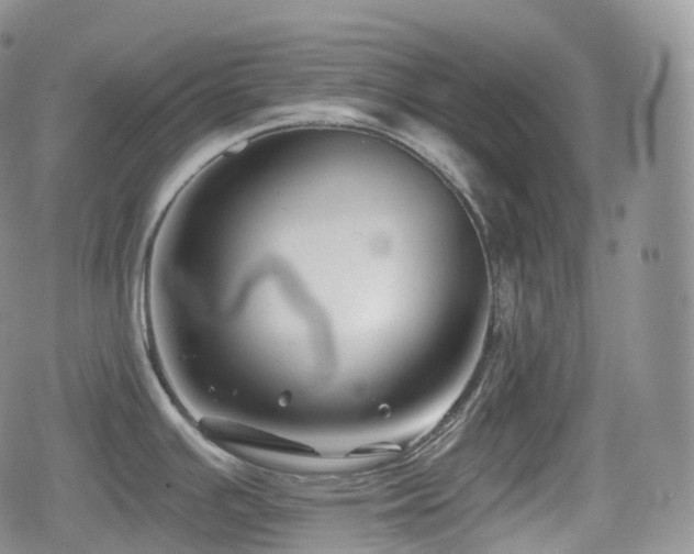 X0000080101391200612081151