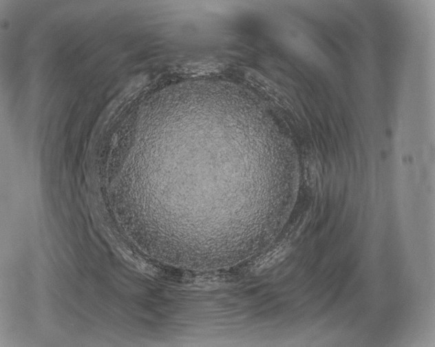 X0000080101393200612081150
