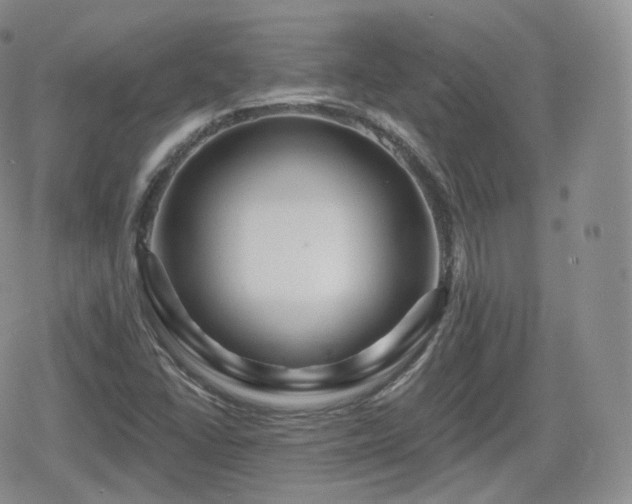 X0000080101406200612081150