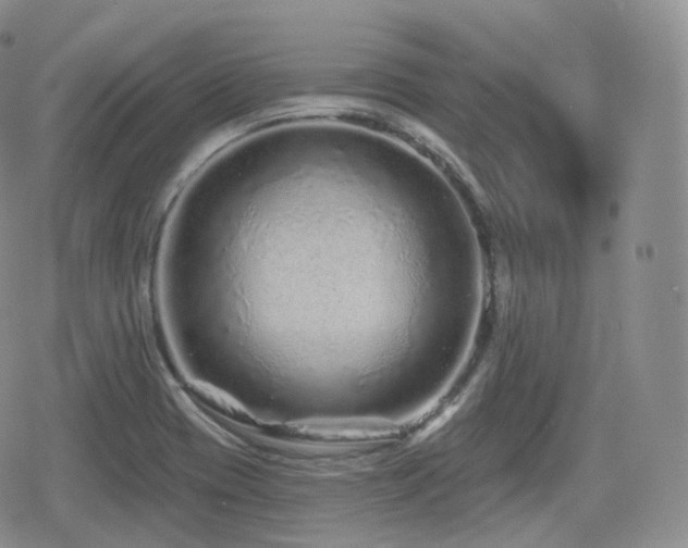 X0000080101417200612081151