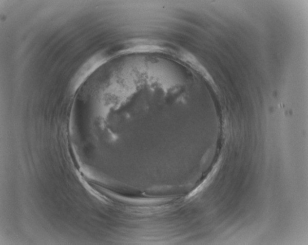 X0000080101425200612081151