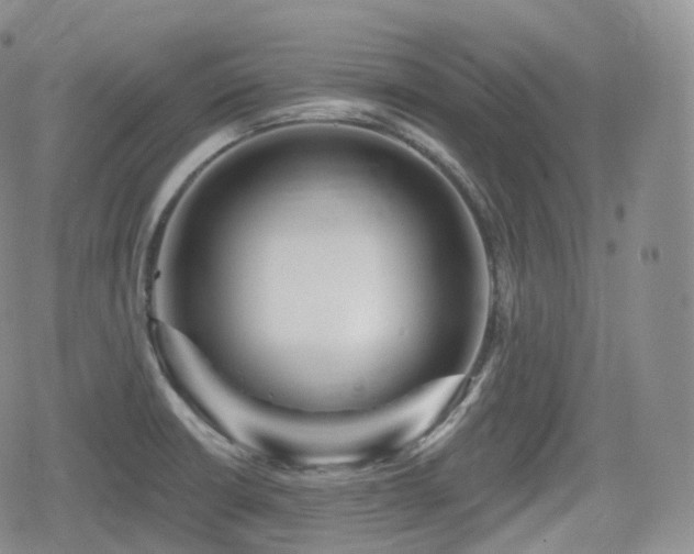 X0000080101426200612081151