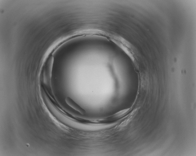 X0000080101430200612081151
