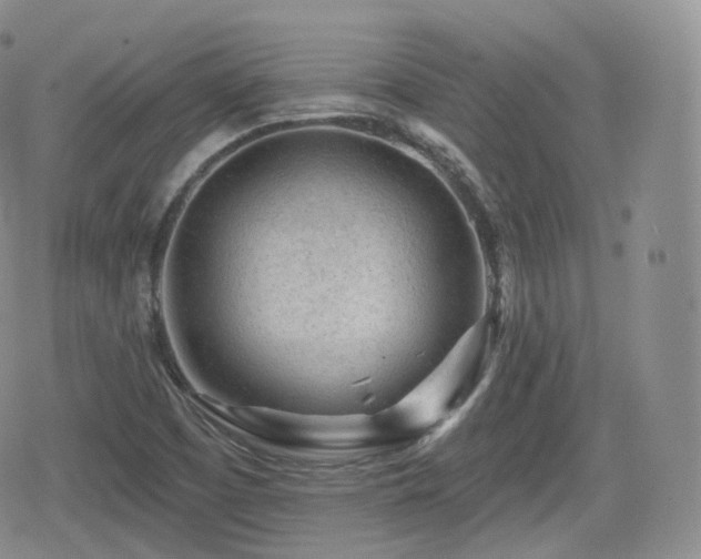 X0000080101457200612081150