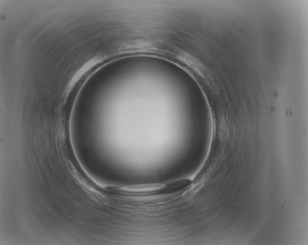 X0000080101458200612081150
