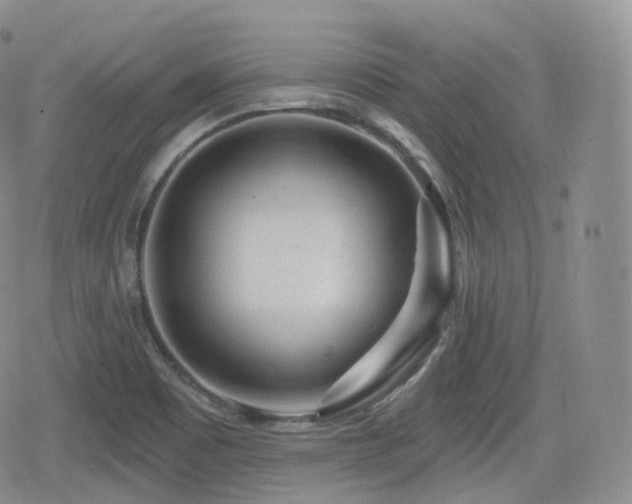 X0000080101465200612081150