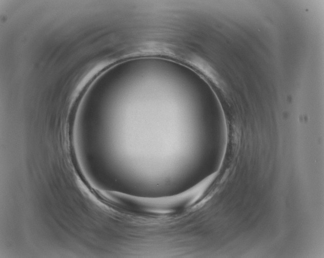 X0000080101468200612081150
