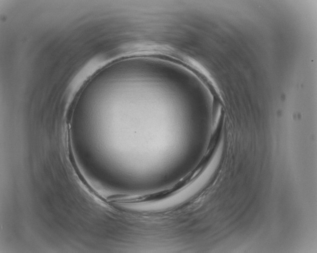 X0000080101472200612081150
