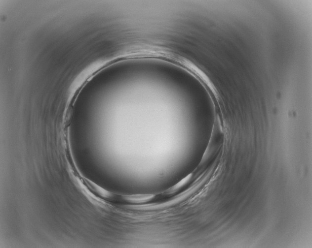 X0000080101485200612081149
