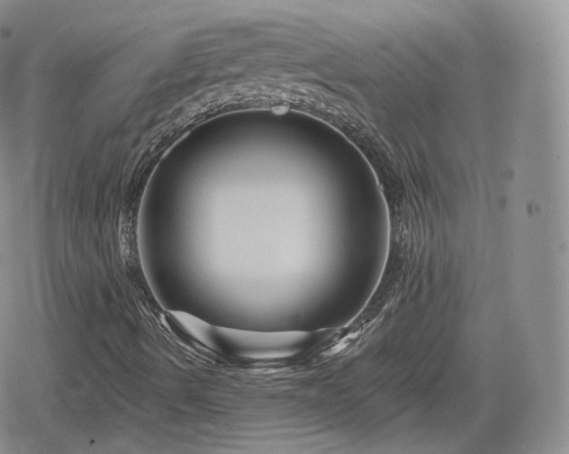 X0000080101490200612081149