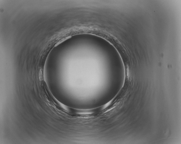 X0000080101492200612081149