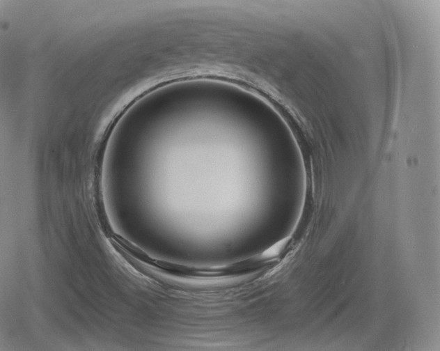 X0000080101500200612081149