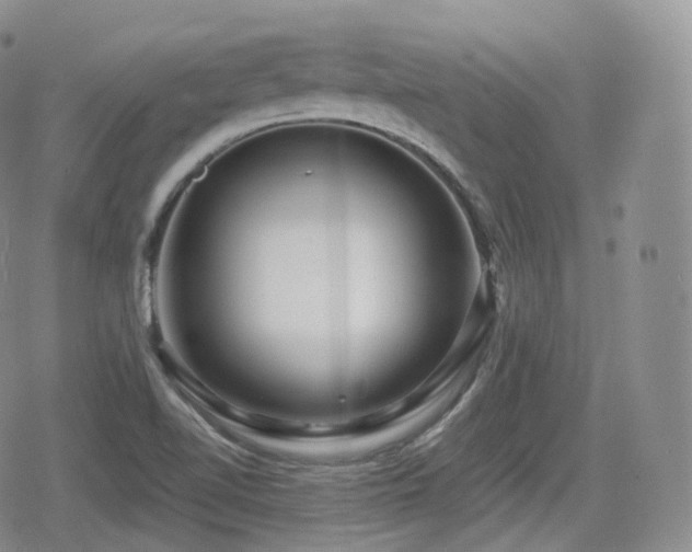 X0000080101510200612081149
