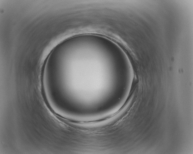 X0000080101512200612081149