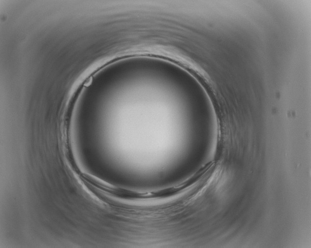 X0000080101517200612081149