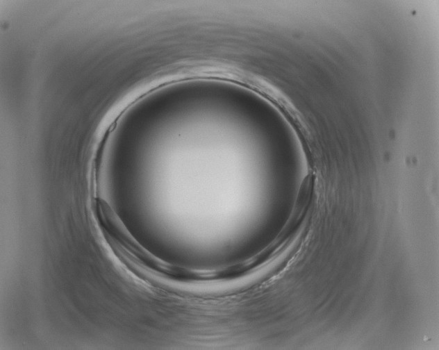 X0000080101520200612081149