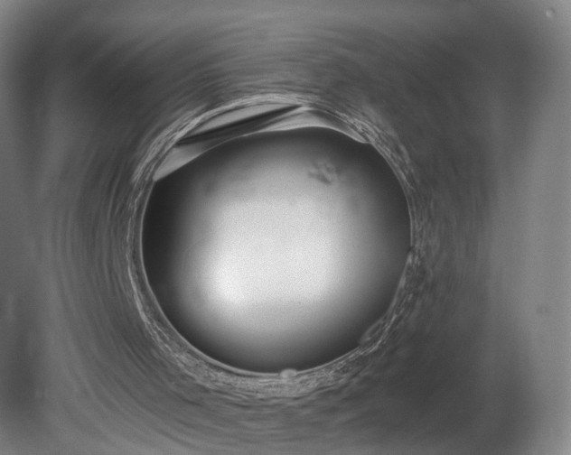 X0000080100001200612151633