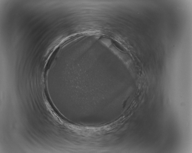 X0000080100002200612151633