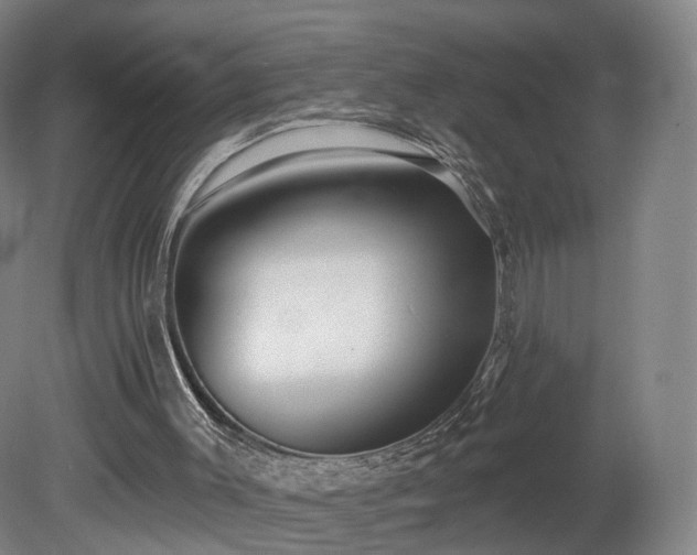 X0000080100003200612151633