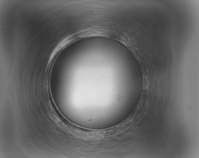 X0000080100004200612151633