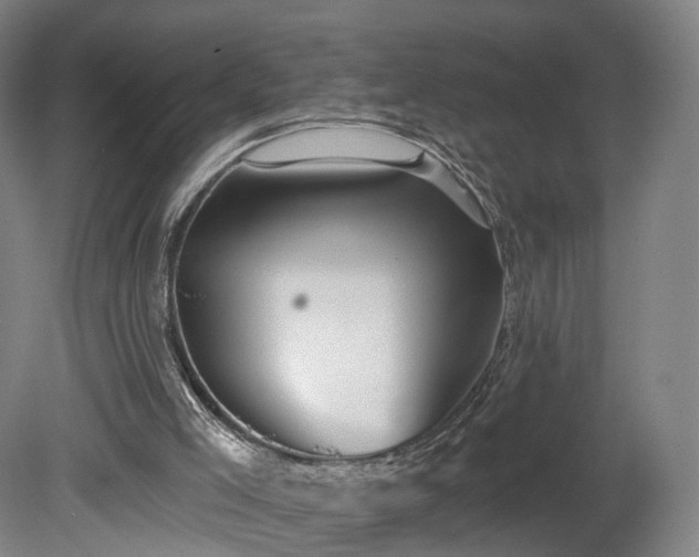 X0000080100005200612151633