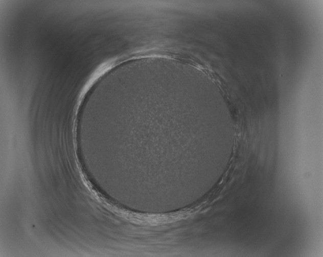 X0000080100006200612151633