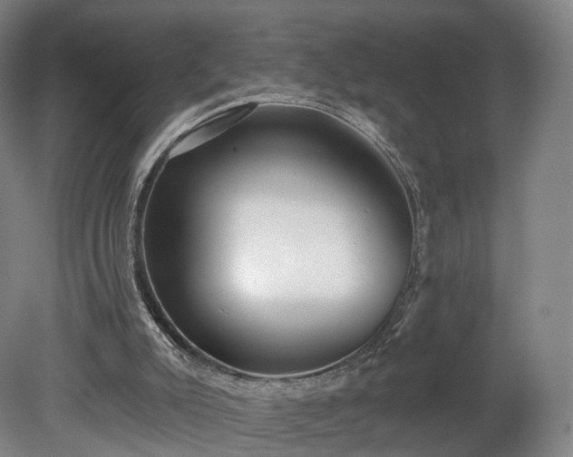 X0000080100007200612151633