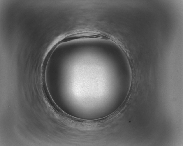 X0000080100008200612151633