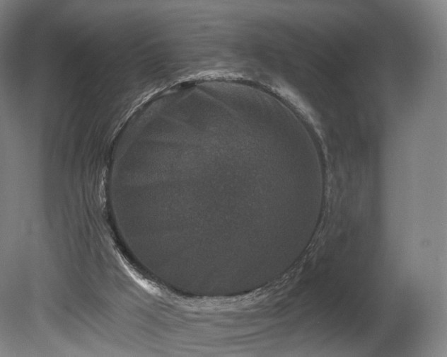 X0000080100009200612151633