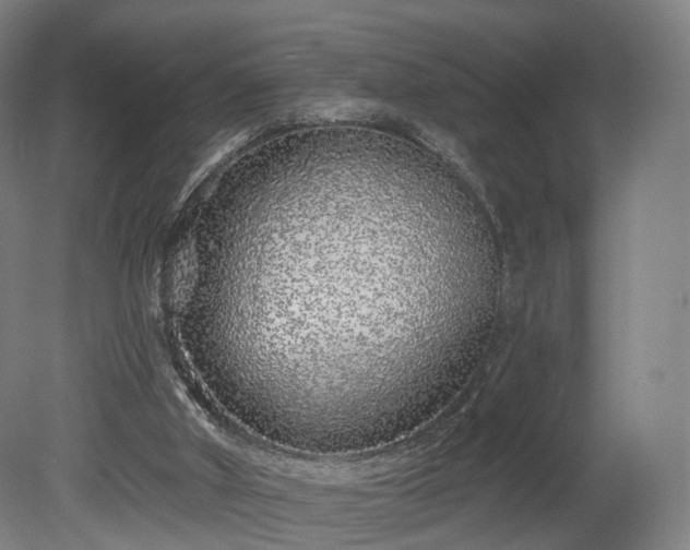 X0000080100010200612151633