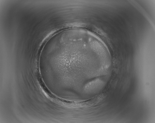 X0000080100012200612151633