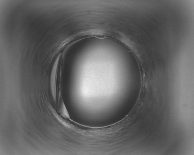 X0000080100013200612151633