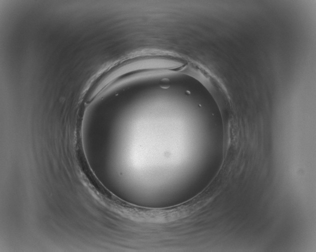 X0000080100015200612151633