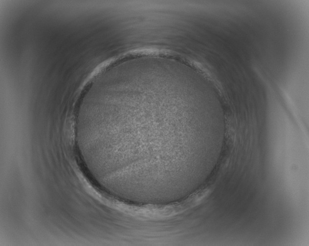 X0000080100016200612151633