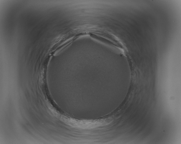 X0000080100018200612151633