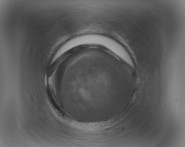 X0000080100019200612151633