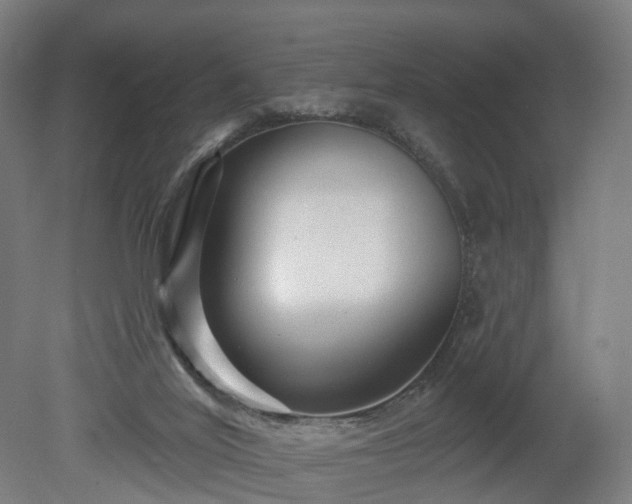 X0000080100020200612151633