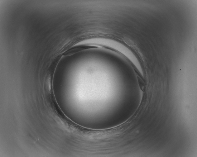 X0000080100021200612151632