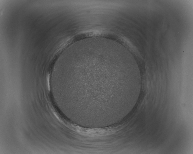 X0000080100022200612151632