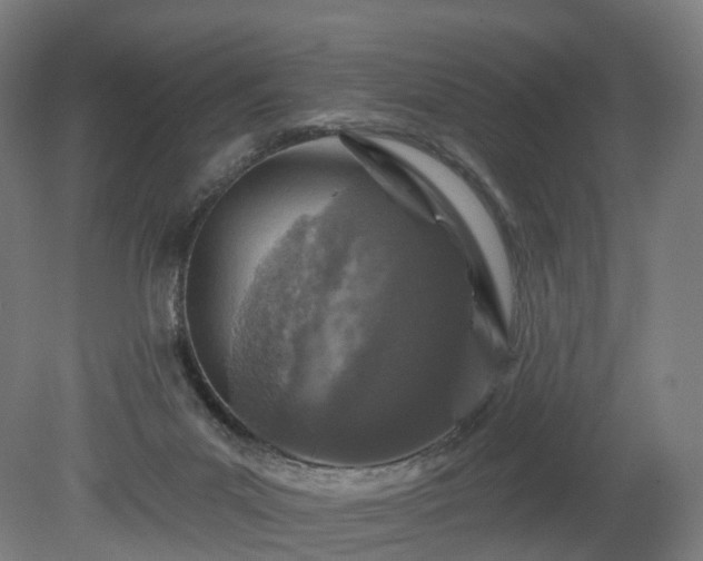 X0000080100023200612151632