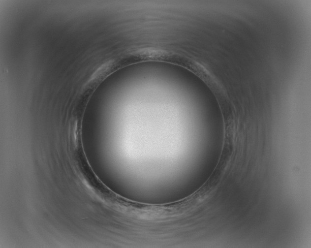 X0000080100024200612151632