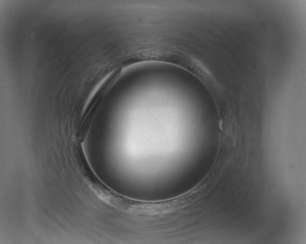 X0000080100025200612151632