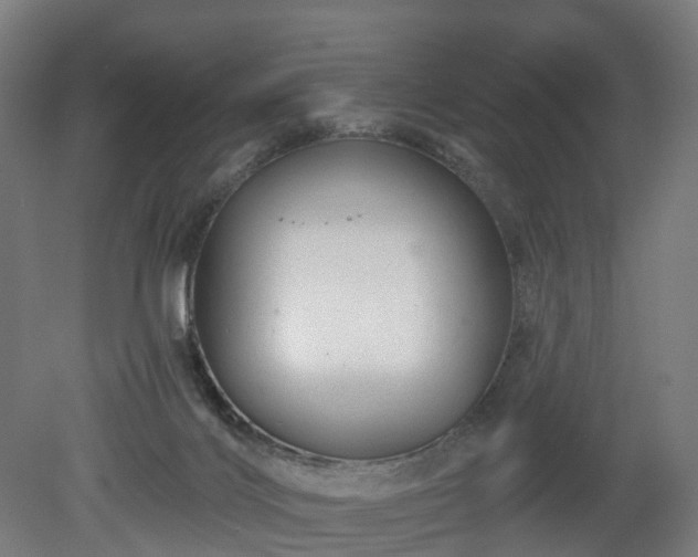 X0000080100028200612151632