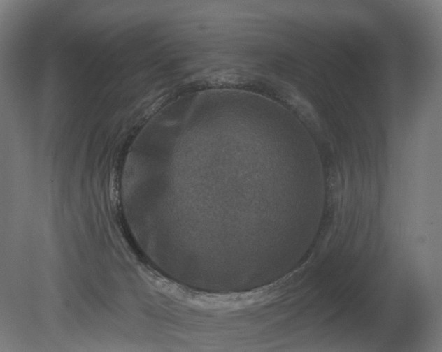 X0000080100029200612151632