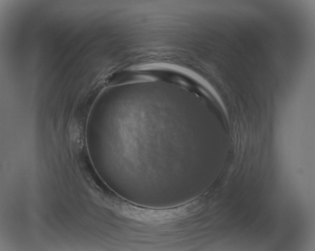 X0000080100031200612151632