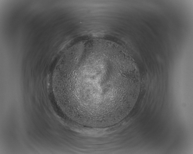 X0000080100032200612151632