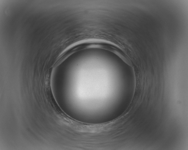 X0000080100033200612151632