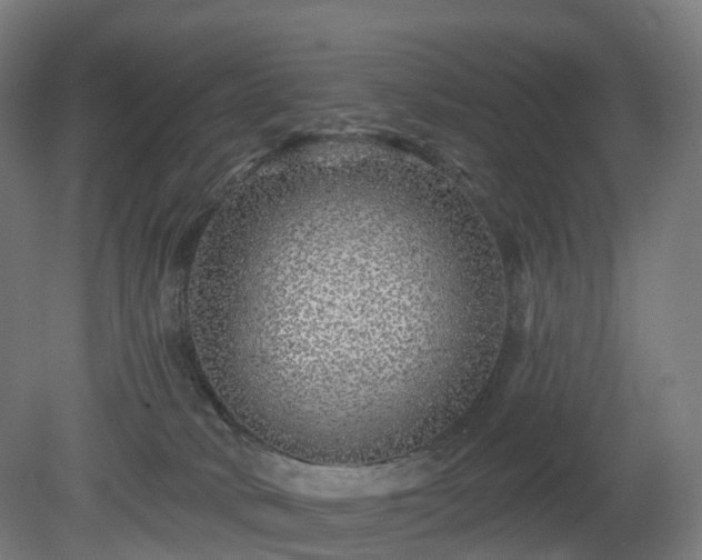 X0000080100034200612151632